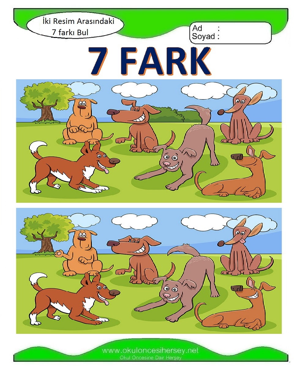 İki Resim Arasındaki 7 Farkı Bul