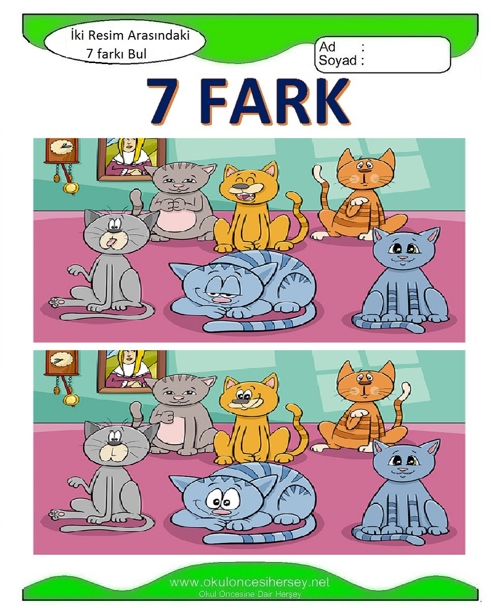 İki Resim Arasındaki 7 Farkı Bul