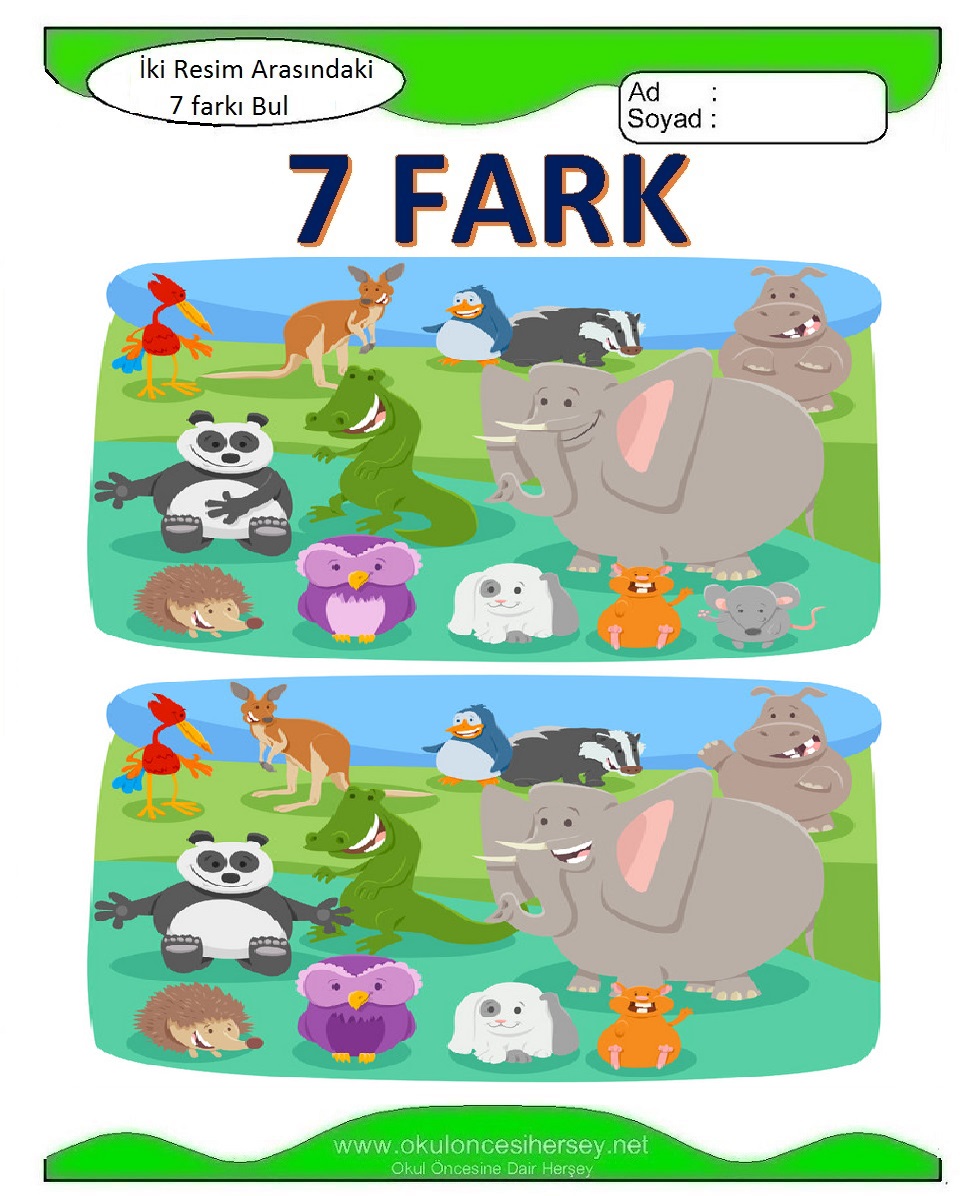 İki Resim Arasındaki 7 Farkı Bul