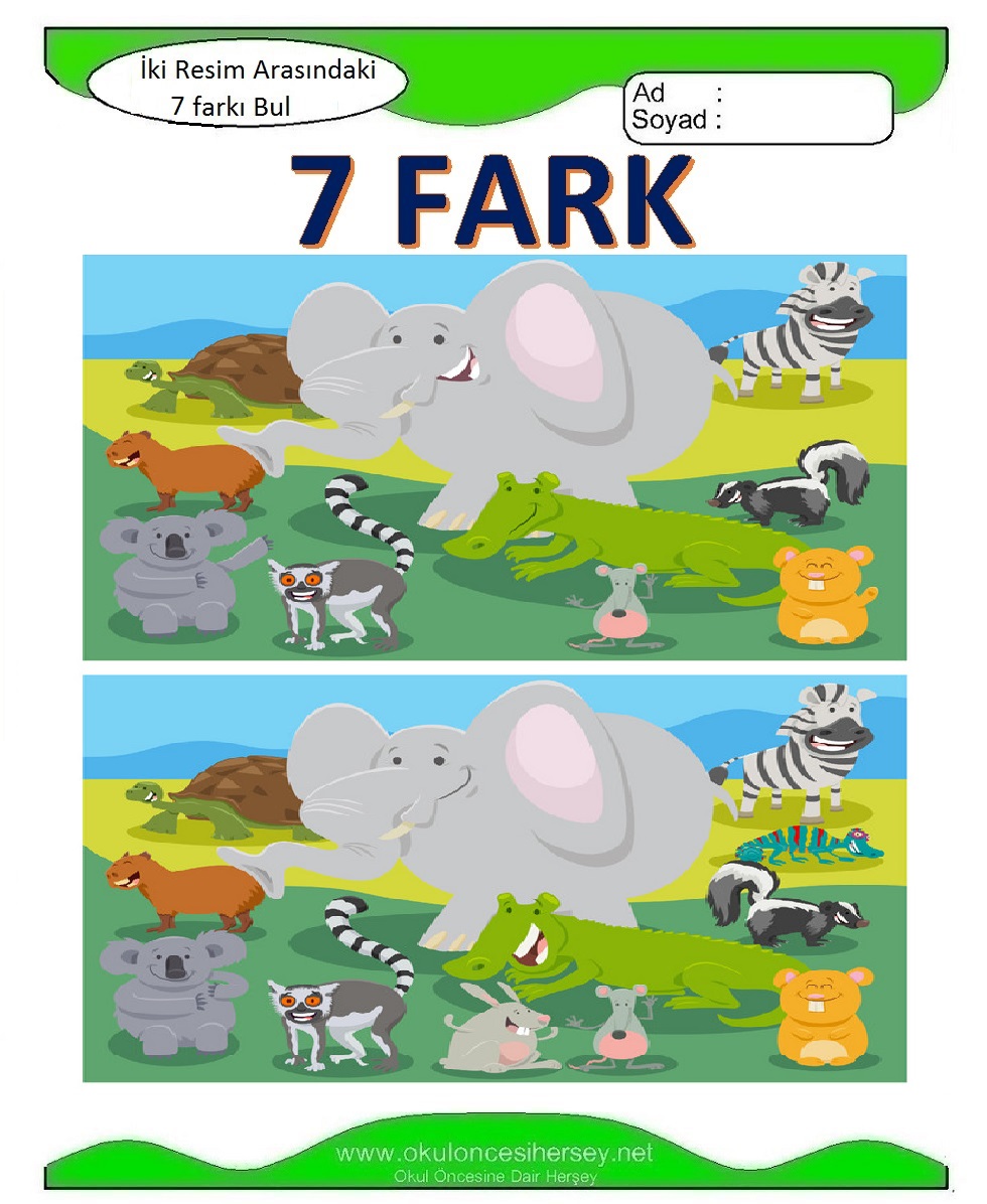 İki Resim Arasındaki 7 Farkı Bul