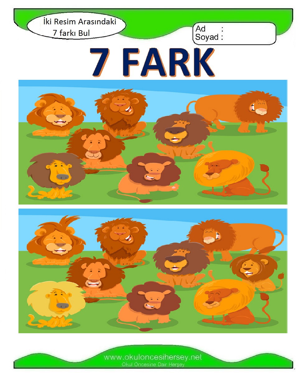 İki Resim Arasındaki 7 Farkı Bul