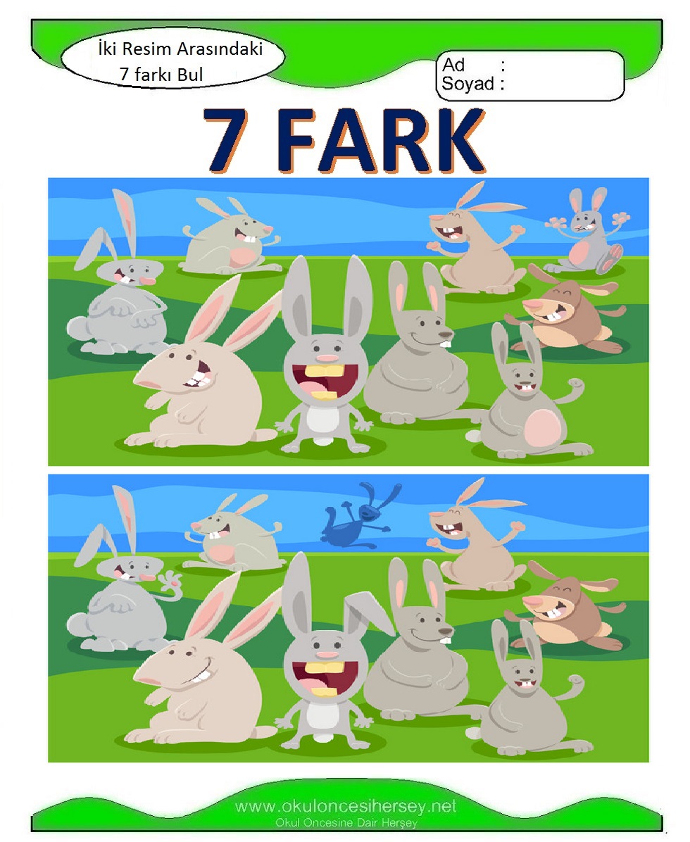 İki Resim Arasındaki 7 Farkı Bul