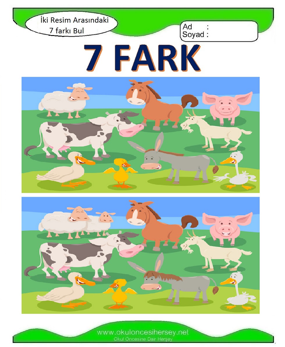 İki Resim Arasındaki 7 Farkı Bul