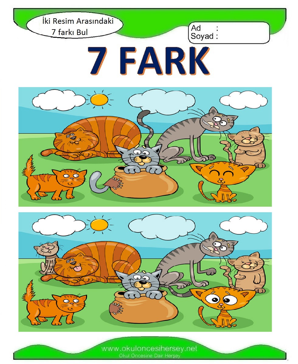 İki Resim Arasındaki 7 Farkı Bul