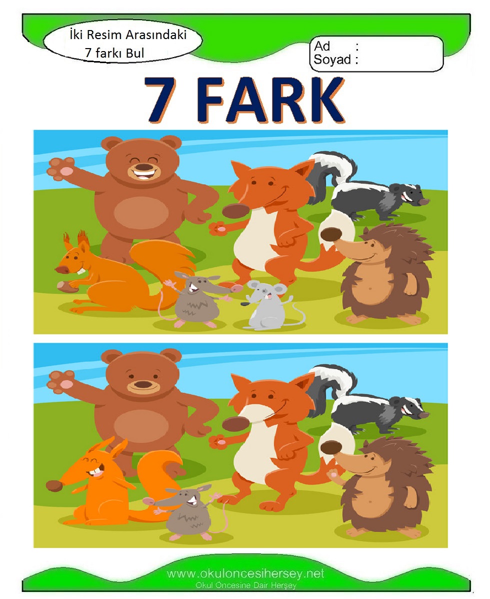 İki Resim Arasındaki 7 Farkı Bul