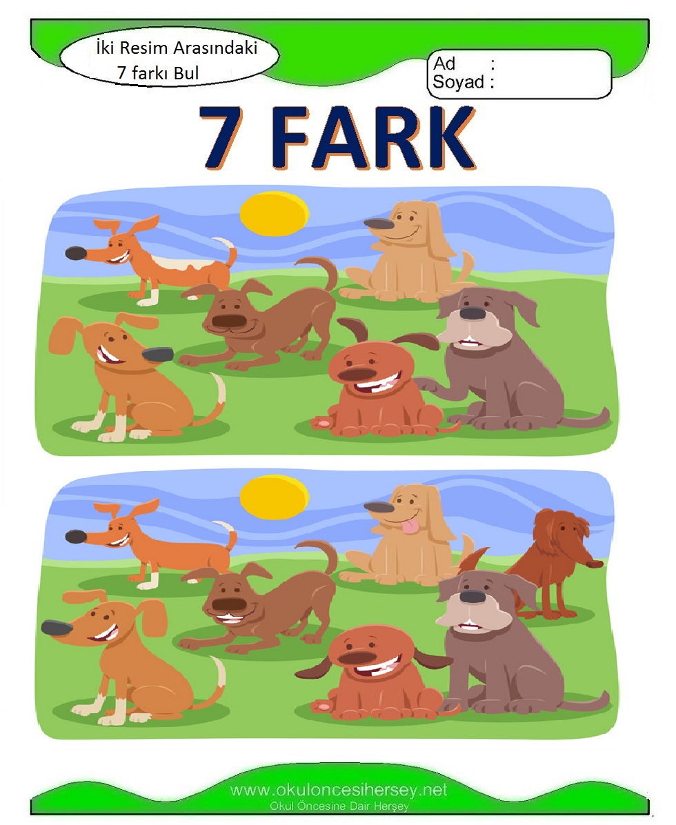 İki Resim Arasındaki 7 Farkı Bul