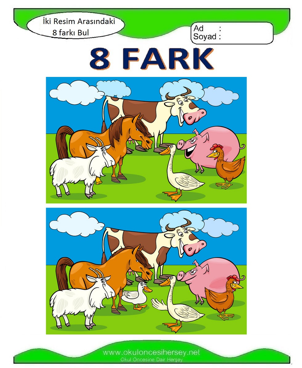 İki Resim Arasındaki 8 Farkı Bul