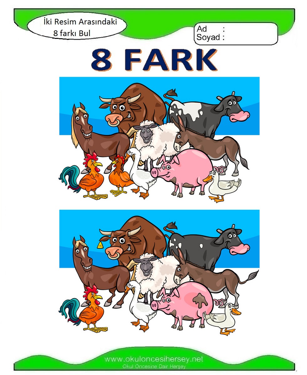 İki Resim Arasındaki 8 Farkı Bul