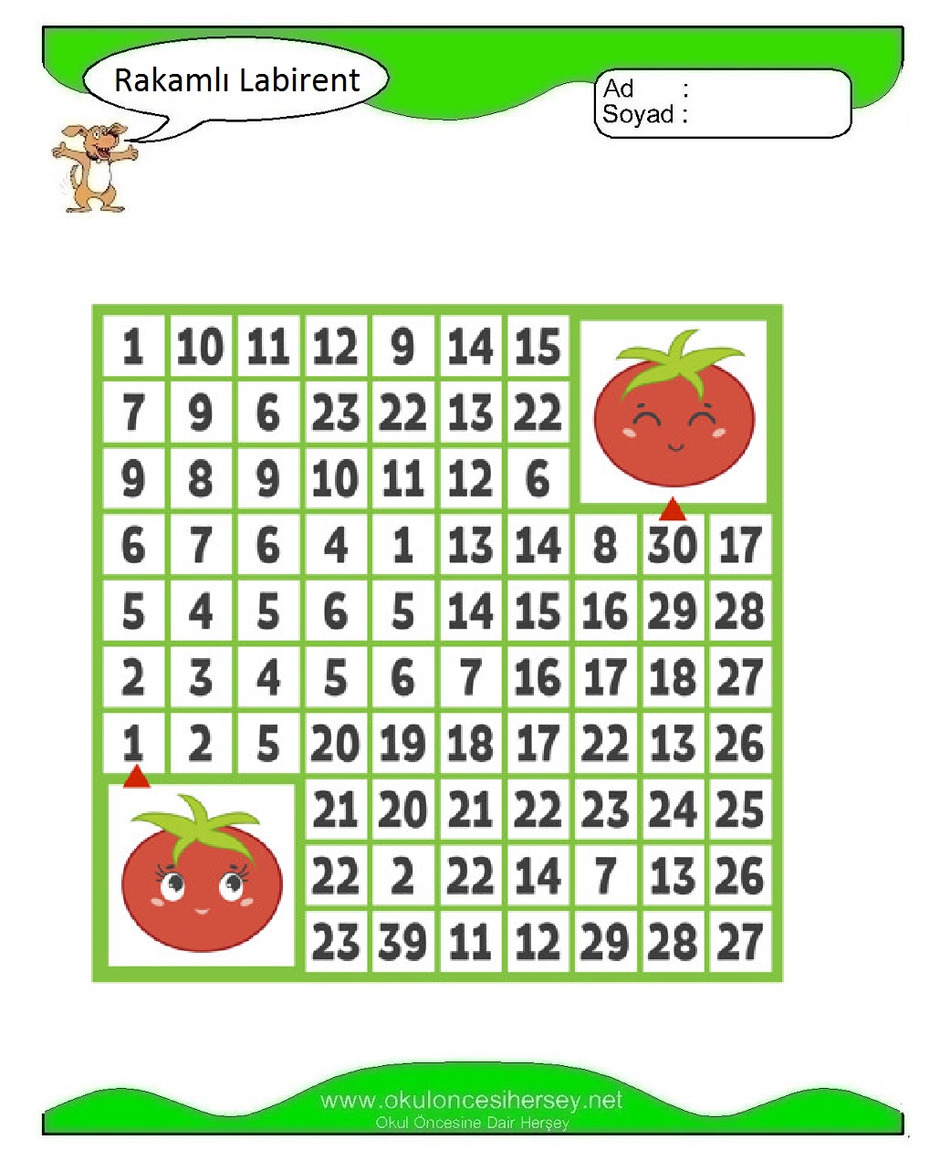 Rakamlı Labirent Bulmaca