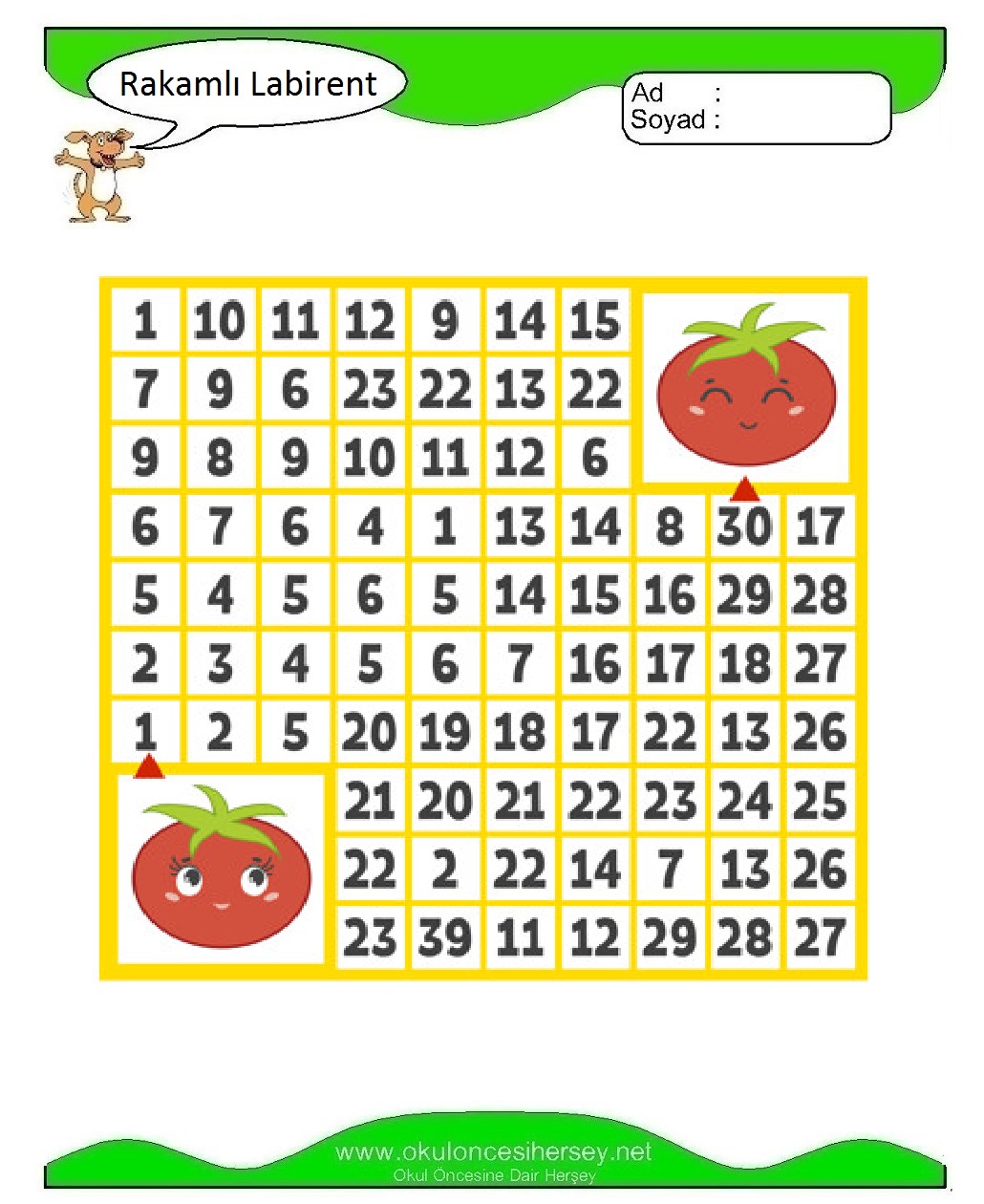 Rakamlı Labirent Bulmaca