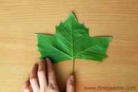 Yaprak Baskı Çalışmalaçrı