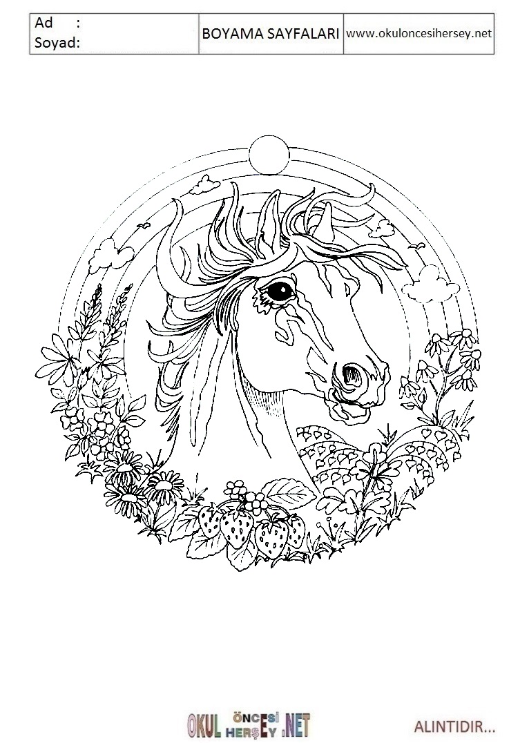 Mandala
