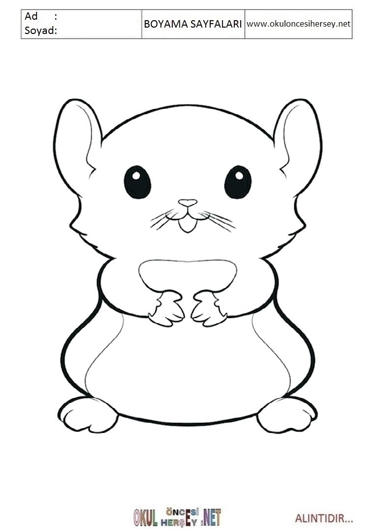 Çocuklar İçin Hamster Boyama Sayfaları 