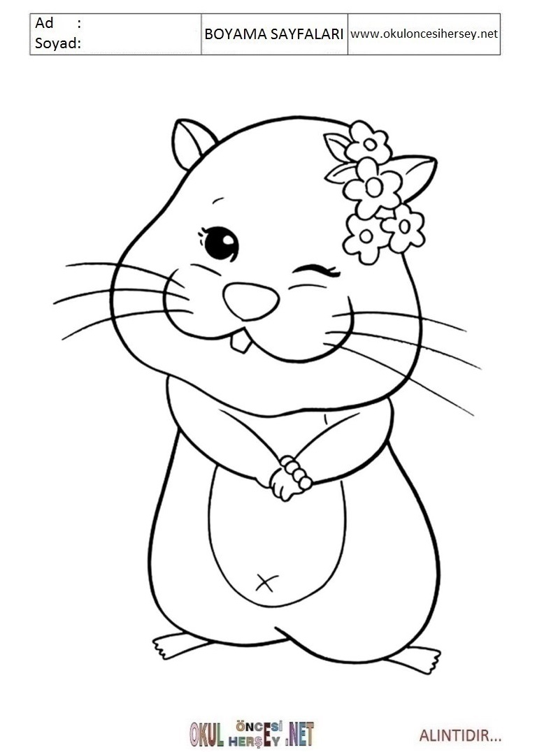 Çocuklar İçin Hamster Boyama Sayfaları 