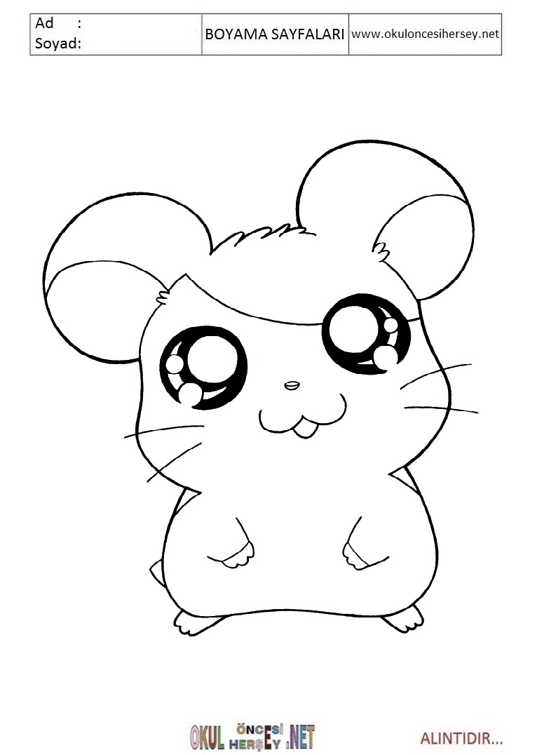 Çocuklar İçin Hamster Boyama Sayfaları 