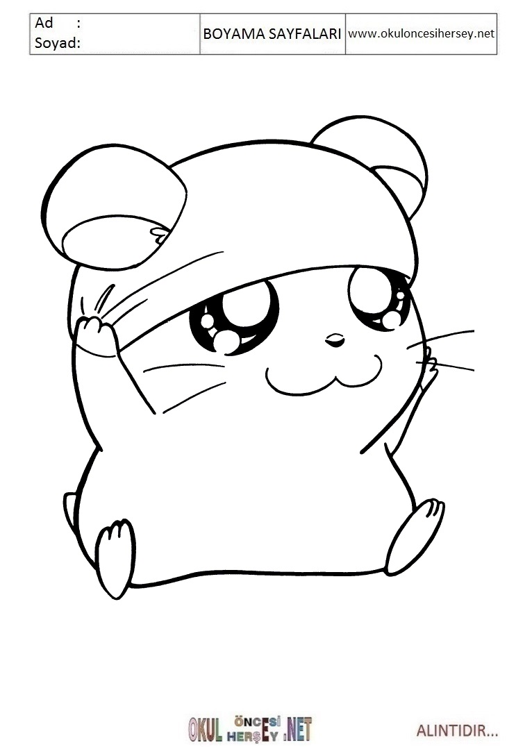 Çocuklar İçin Hamster Boyama Sayfaları 