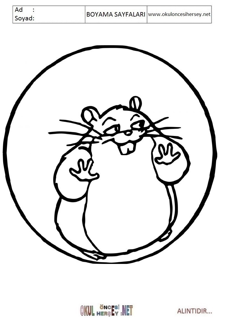 Çocuklar İçin Hamster Boyama Sayfaları 