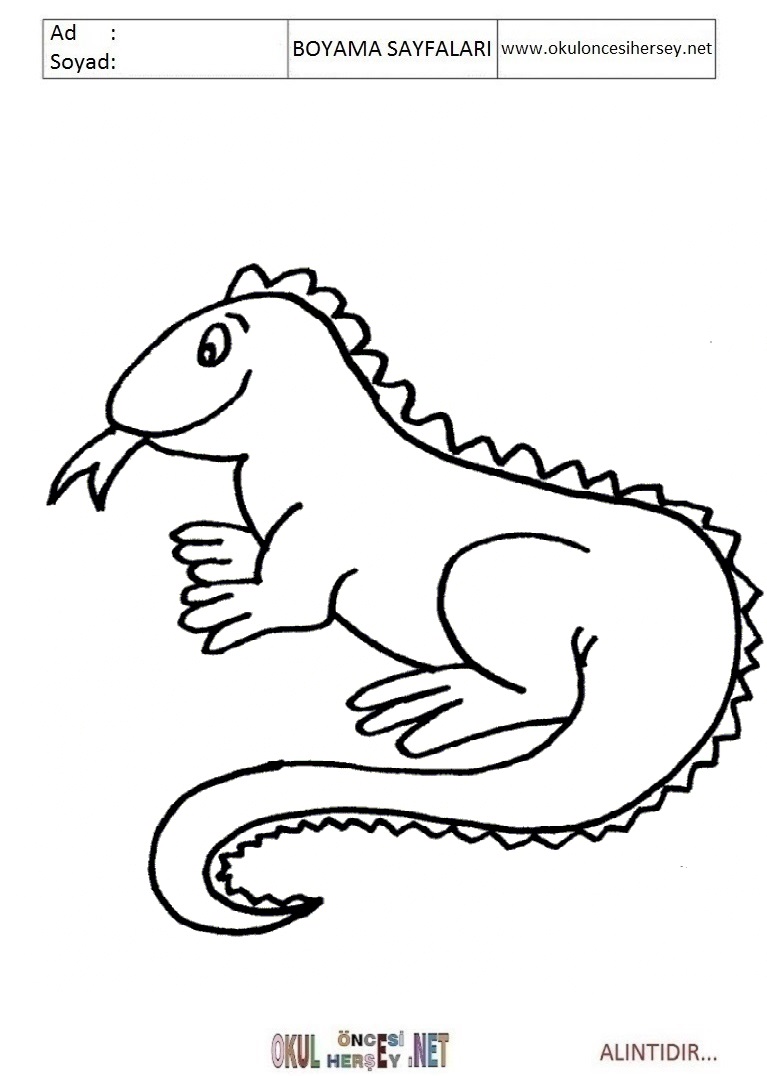 Çocuklar İçin iguana Boyama Sayfaları 