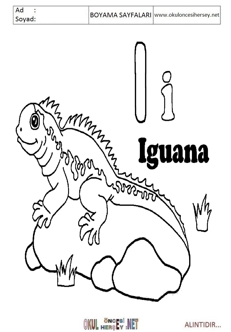 Çocuklar İçin iguana Boyama Sayfaları 