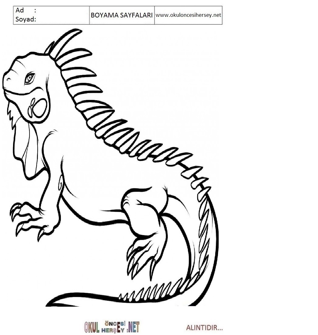 Çocuklar İçin iguana Boyama Sayfaları 