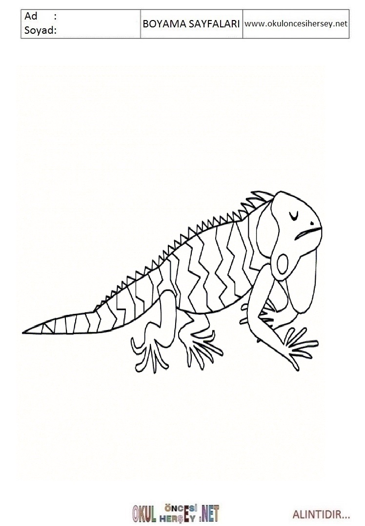 Çocuklar İçin iguana Boyama Sayfaları 