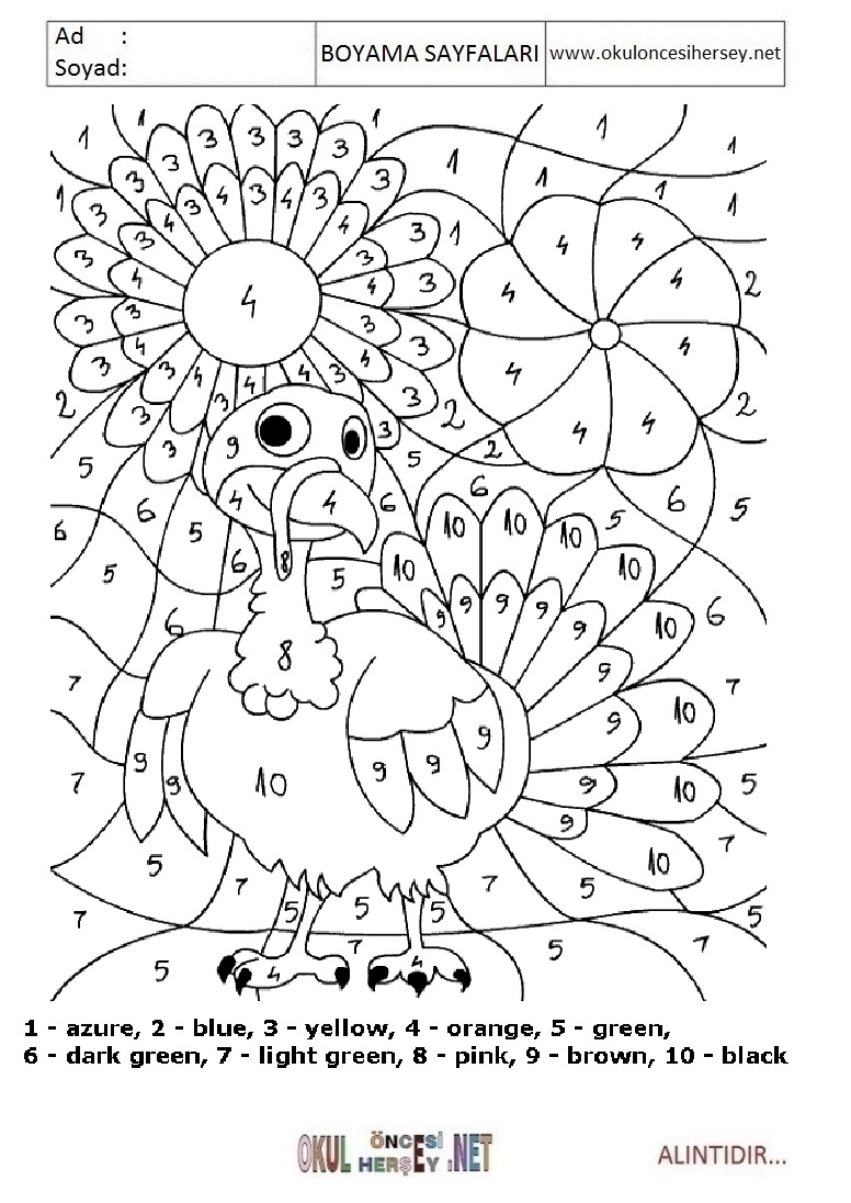 Rakama Göre Boya- Sayıya göre boya