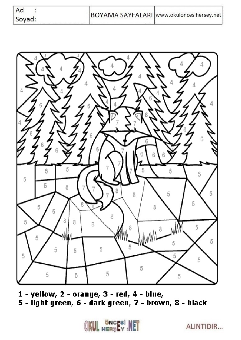 Rakama Göre Boya- Sayıya göre boya
