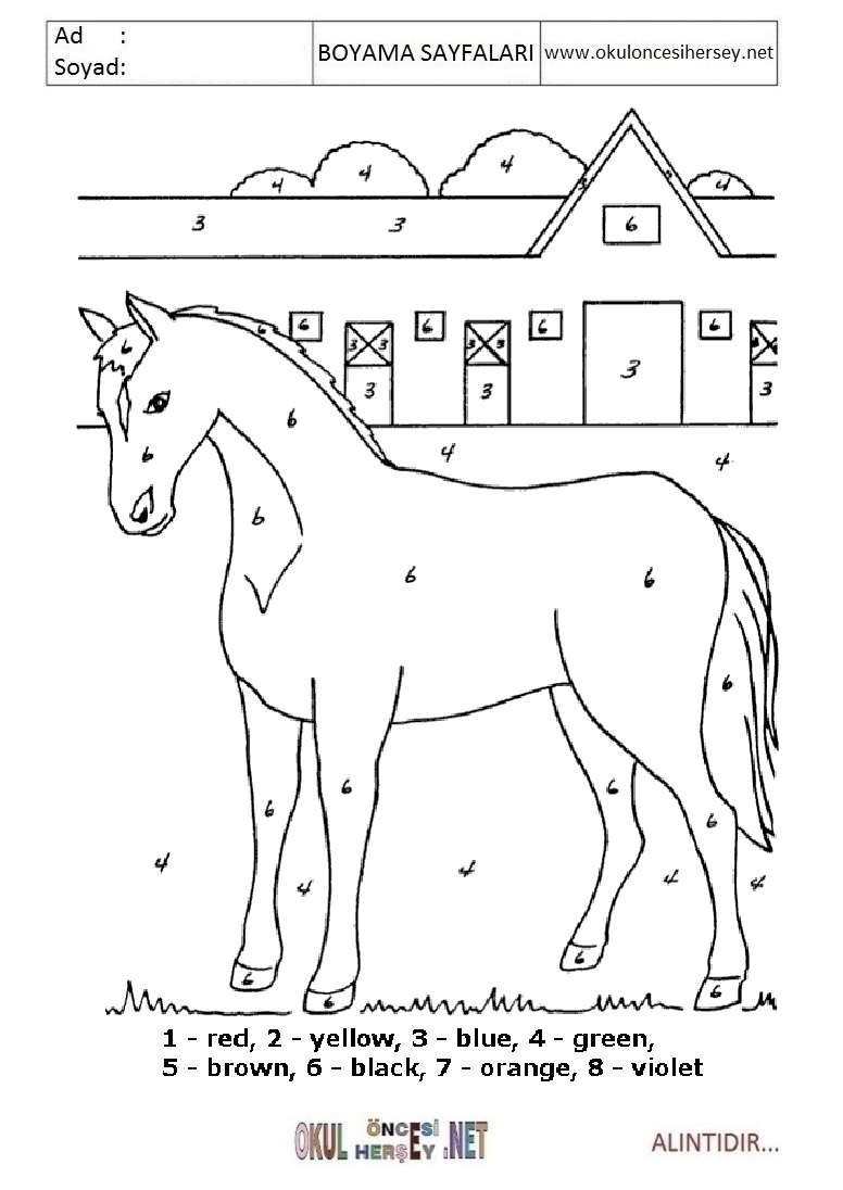 Rakama Göre Boya- Sayıya göre boya