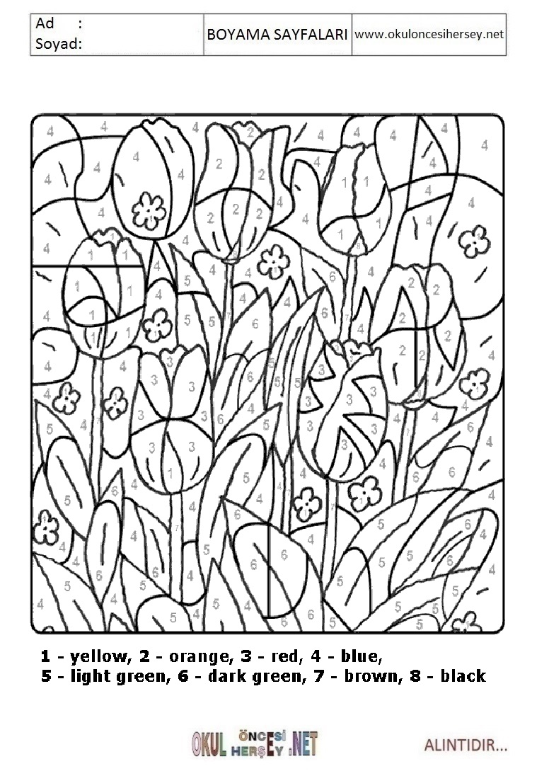 Rakama Göre Boya- Sayıya göre boya