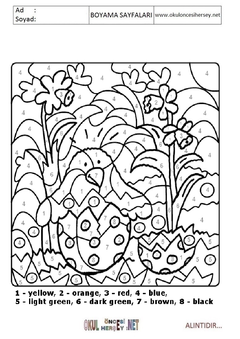 Rakama Göre Boya- Sayıya göre boya