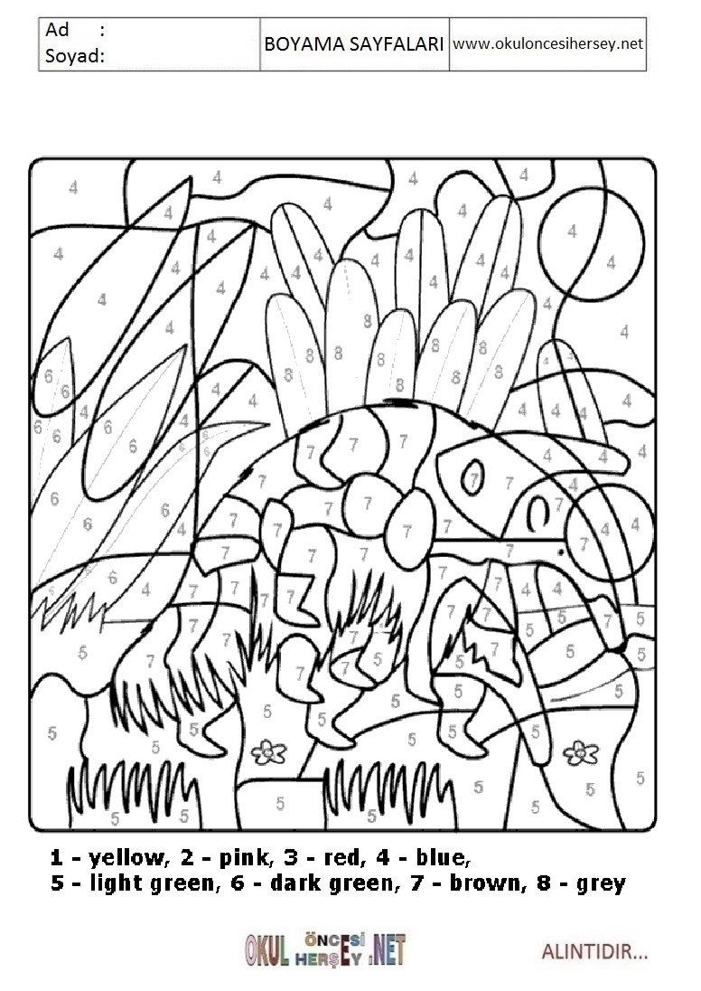 Rakama Göre Boya- Sayıya göre boya