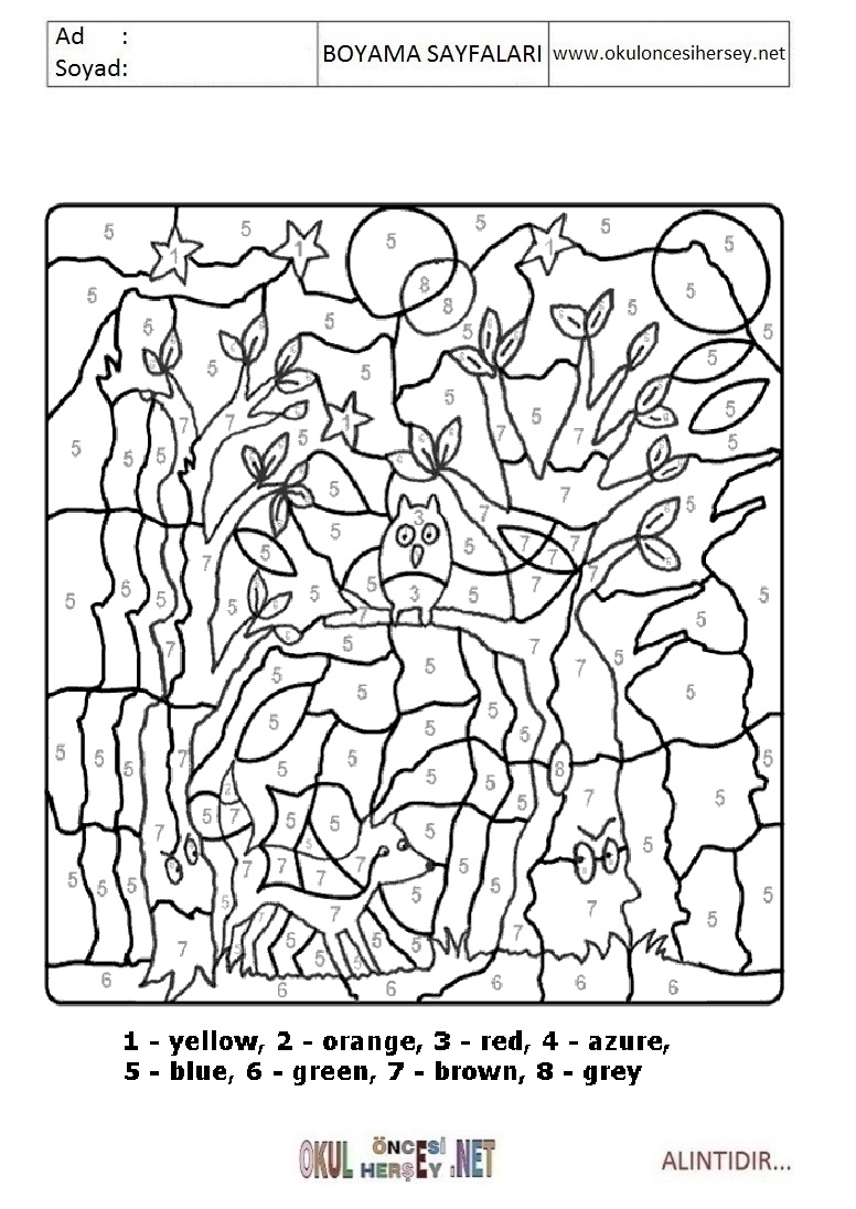 Rakama Göre Boya- Sayıya göre boya