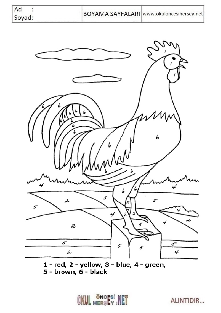 Rakama Göre Boya- Sayıya göre boya