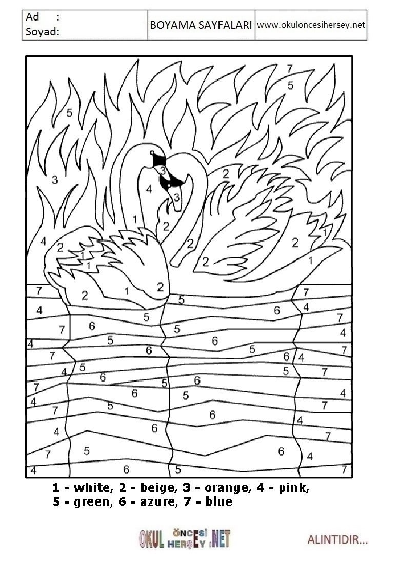 Rakama Göre Boya- Sayıya göre boya