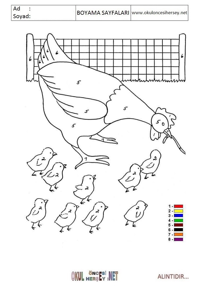 Rakama Göre Boya- Sayıya göre boya