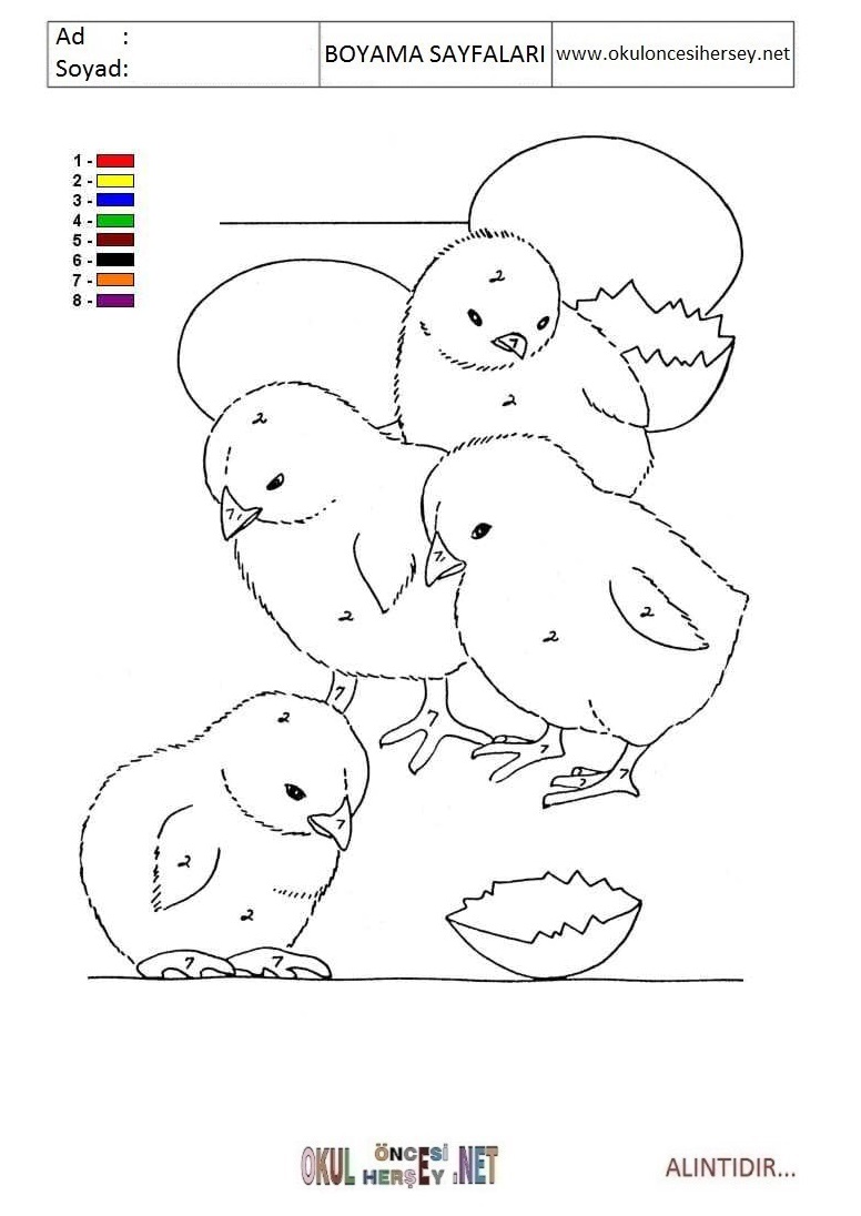 Rakama Göre Boya- Sayıya göre boya