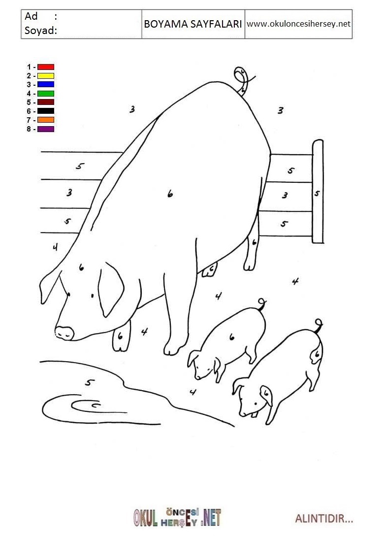 Rakama Göre Boya- Sayıya göre boya