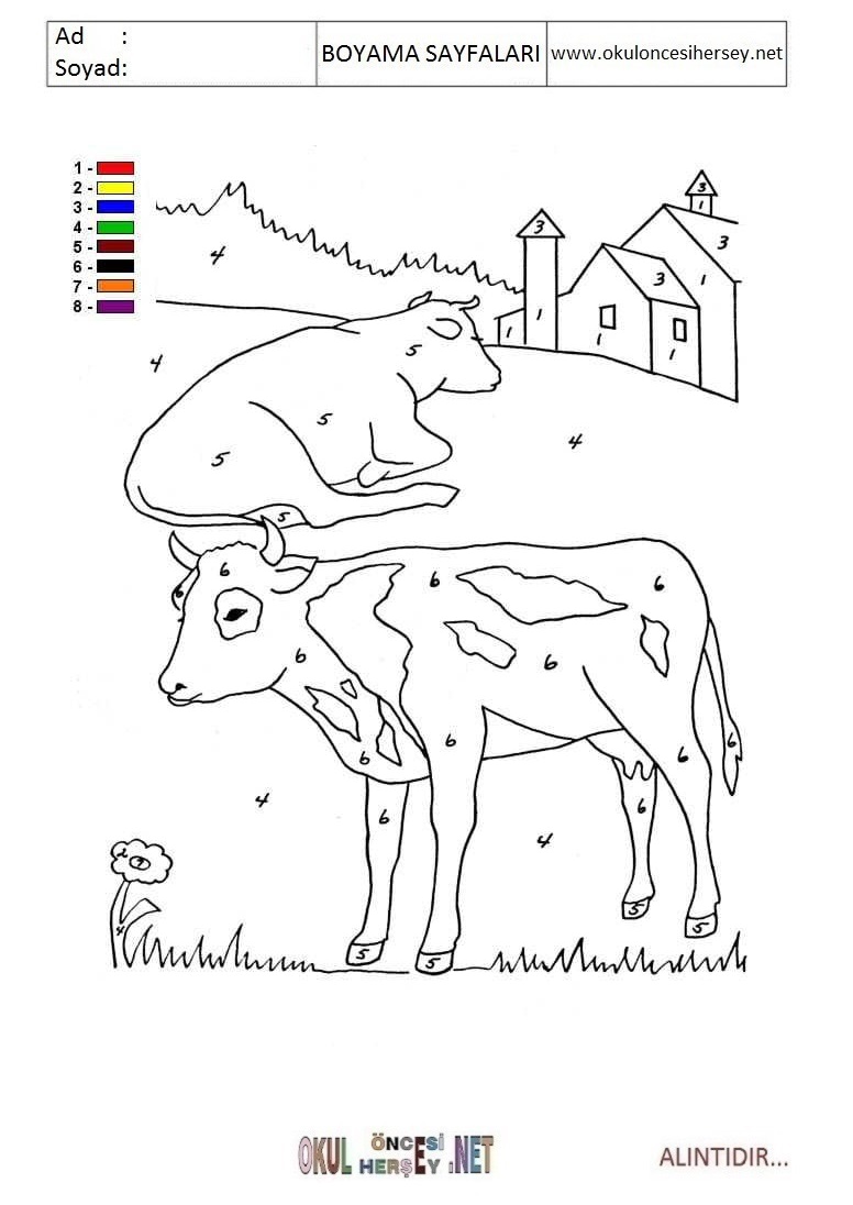 Rakama Göre Boya- Sayıya göre boya