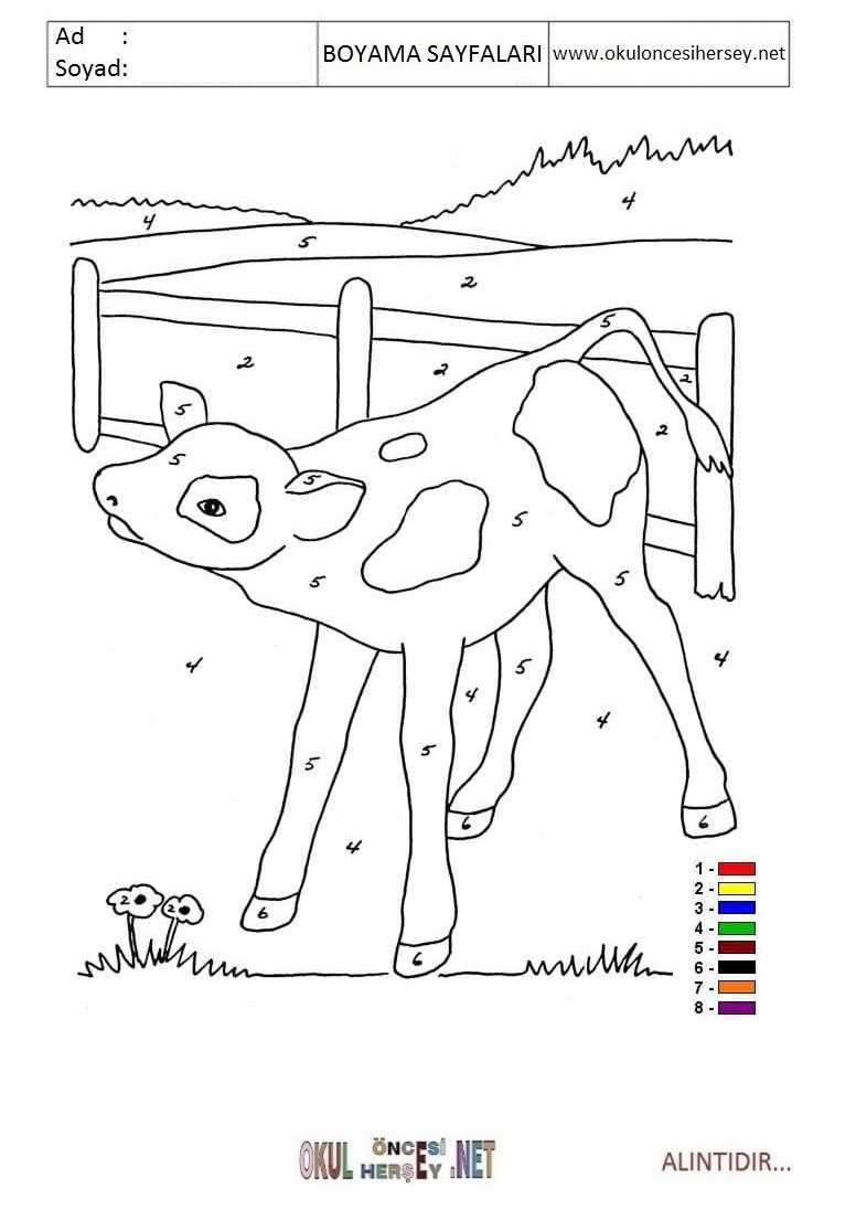 Rakama Göre Boya- Sayıya göre boya