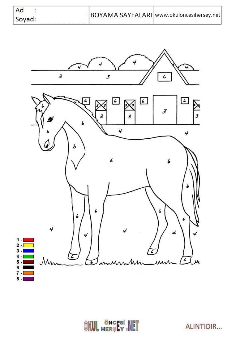 Rakama Göre Boya- Sayıya göre boya