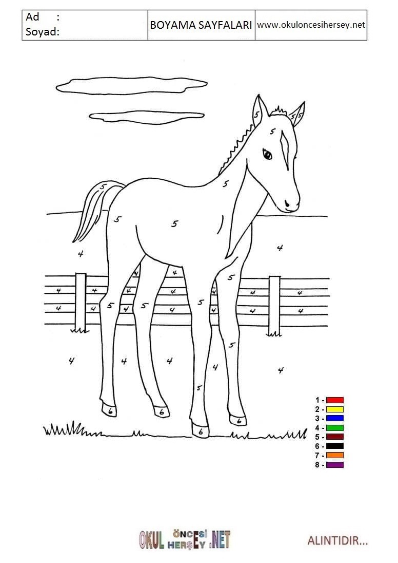 Rakama Göre Boya- Sayıya göre boya