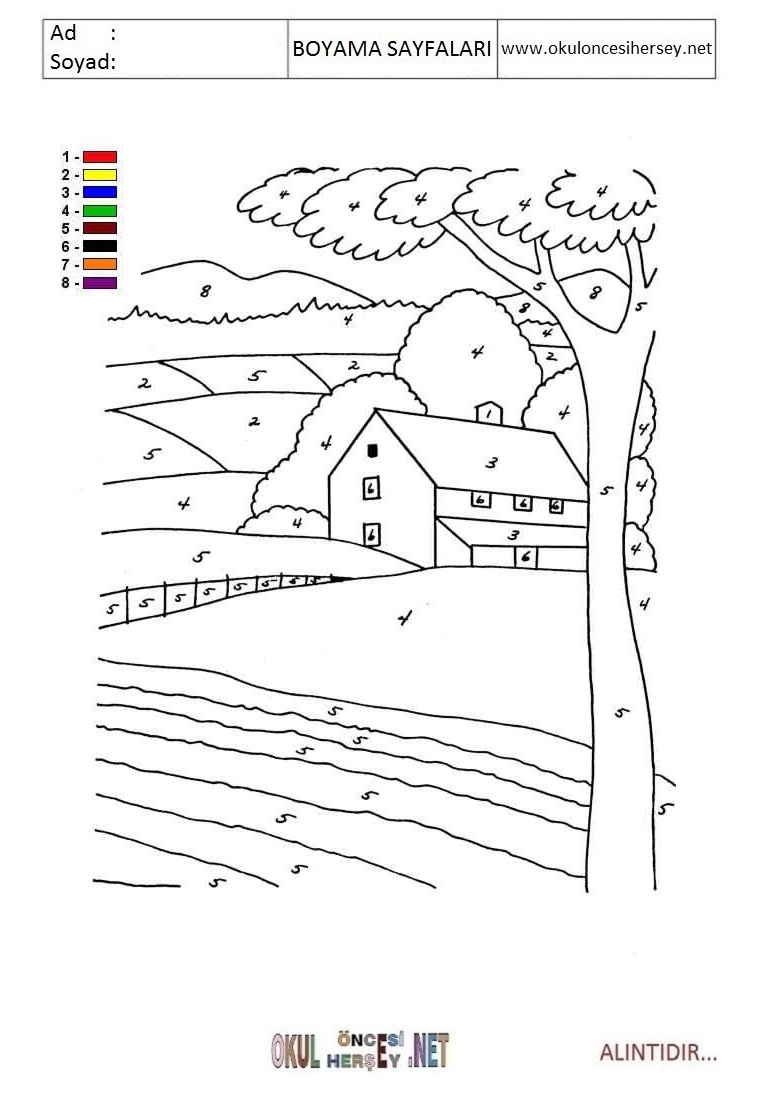 Rakama Göre Boya- Sayıya göre boya