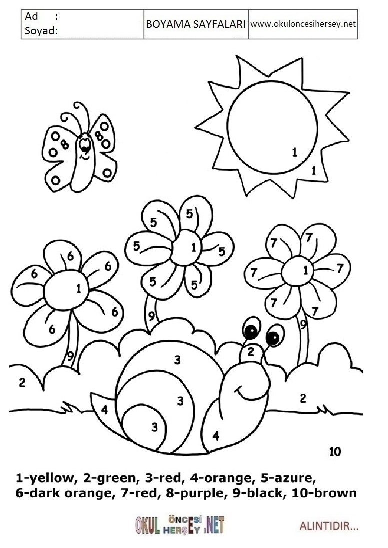 Rakama Göre Boya- Sayıya göre boya