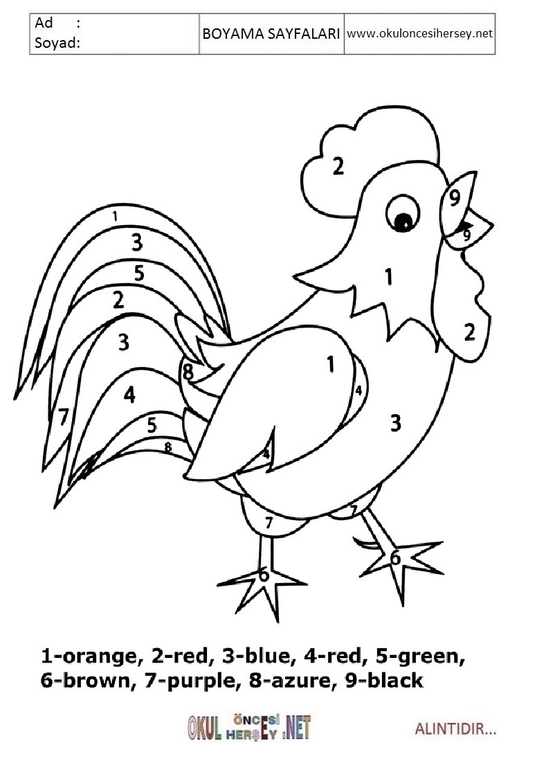 Rakama Göre Boya- Sayıya göre boya