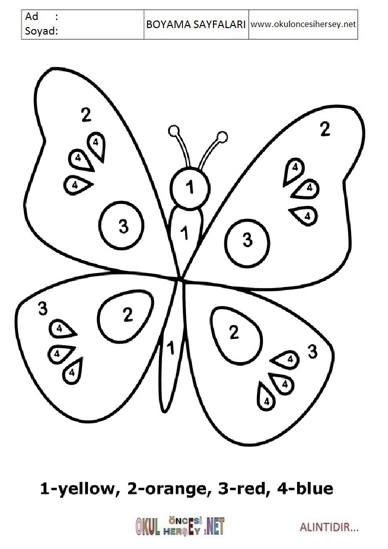 Rakama Göre Boya- Sayıya göre boya