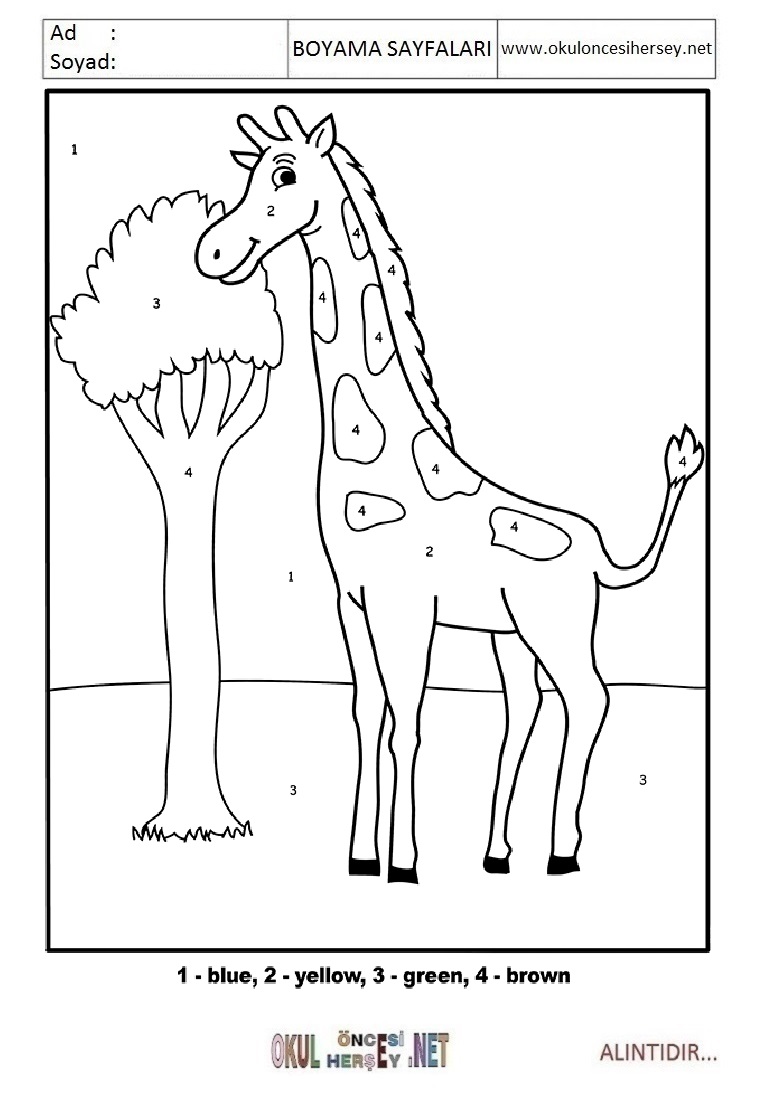 Rakama Göre Boya- Sayıya göre boya