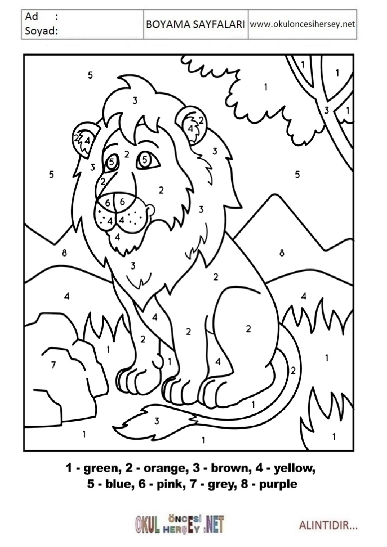Rakama Göre Boya- Sayıya göre boya