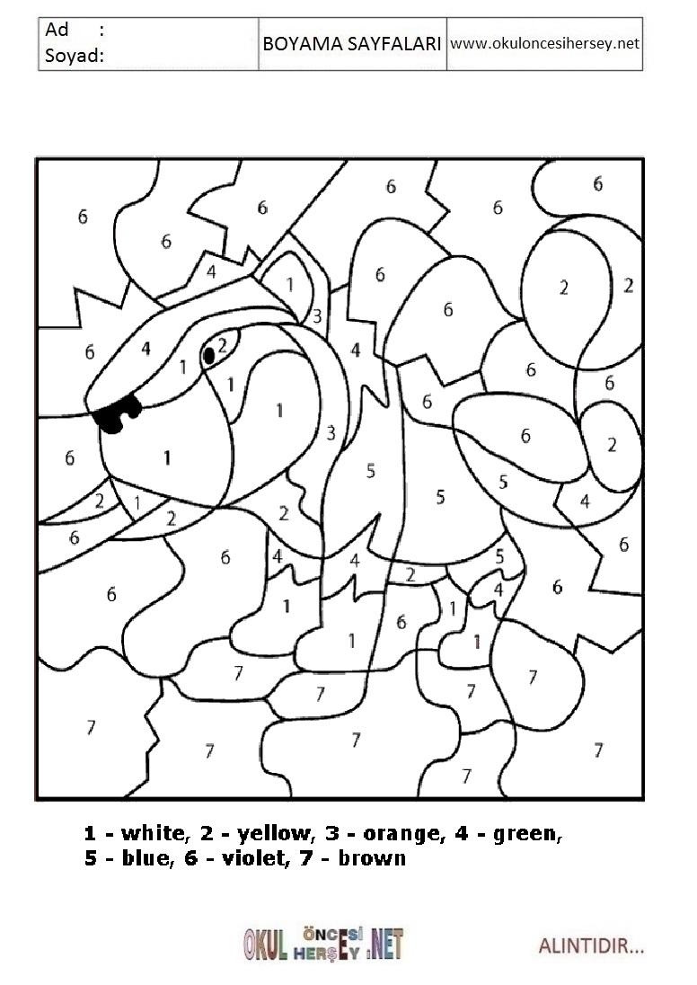 Rakama Göre Boya- Sayıya göre boya