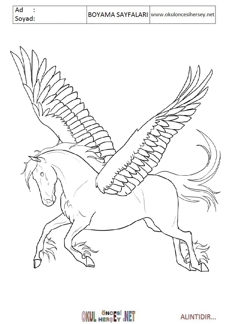 Çocuklar İçin Pegasus Boyama Sayfaları 