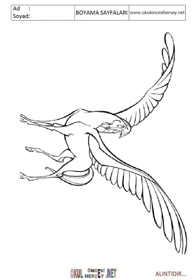 Çocuklar İçin Pegasus Boyama Sayfaları 